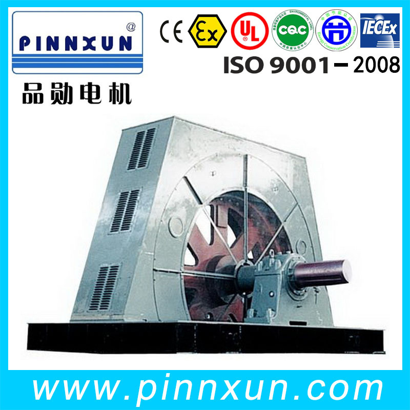 Good Quality Updated T Brushless Excitation Motor