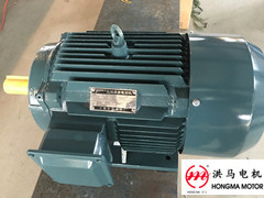 Hmy Series Cast-Iron Housing Three Phase Asynchronous Induction Motor