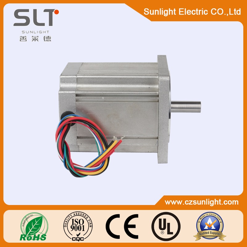 315V Brushless DC Motor with Ce and Rose Certification