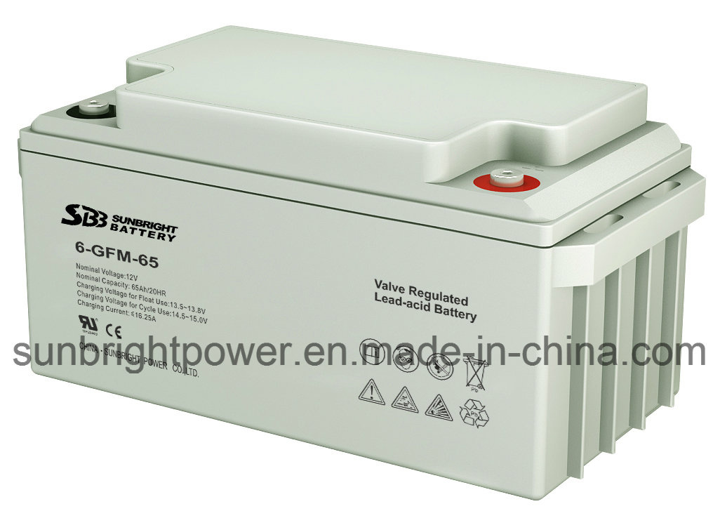 Deep Cycle AGM Battery 12V65ah