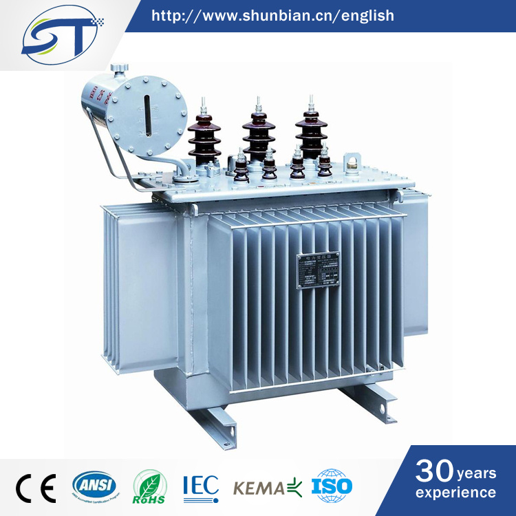11kv 1000kVA Step Down or Step up Oil Type Power Transformer From China