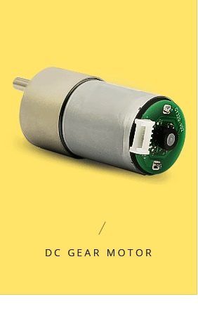 Electric DC Spur Gear Motor D372-03070 with Encoder