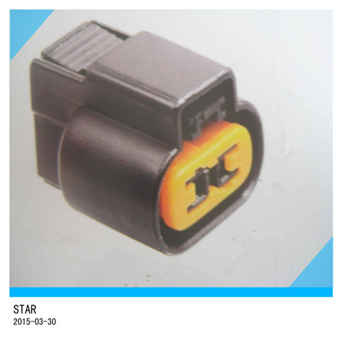 Wire Harness with 2 Pin Connectors