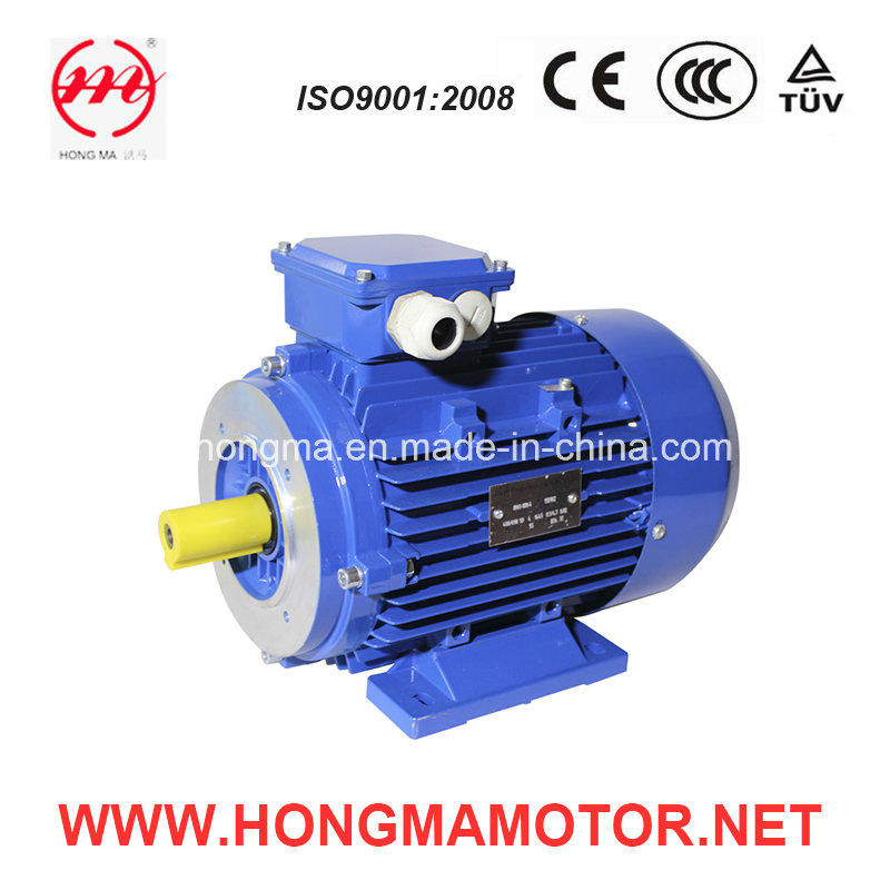 2hma High Efficient AC Electric Asynchronous Induction Motor