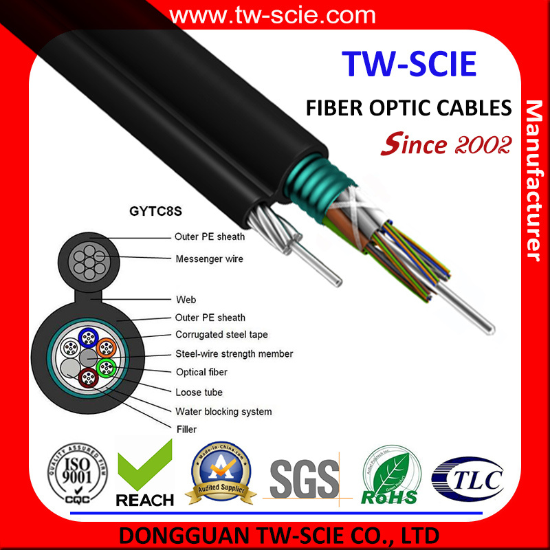 Factory Competitive Price 24 Core Optical Fiber Cable in Gyxtc8s