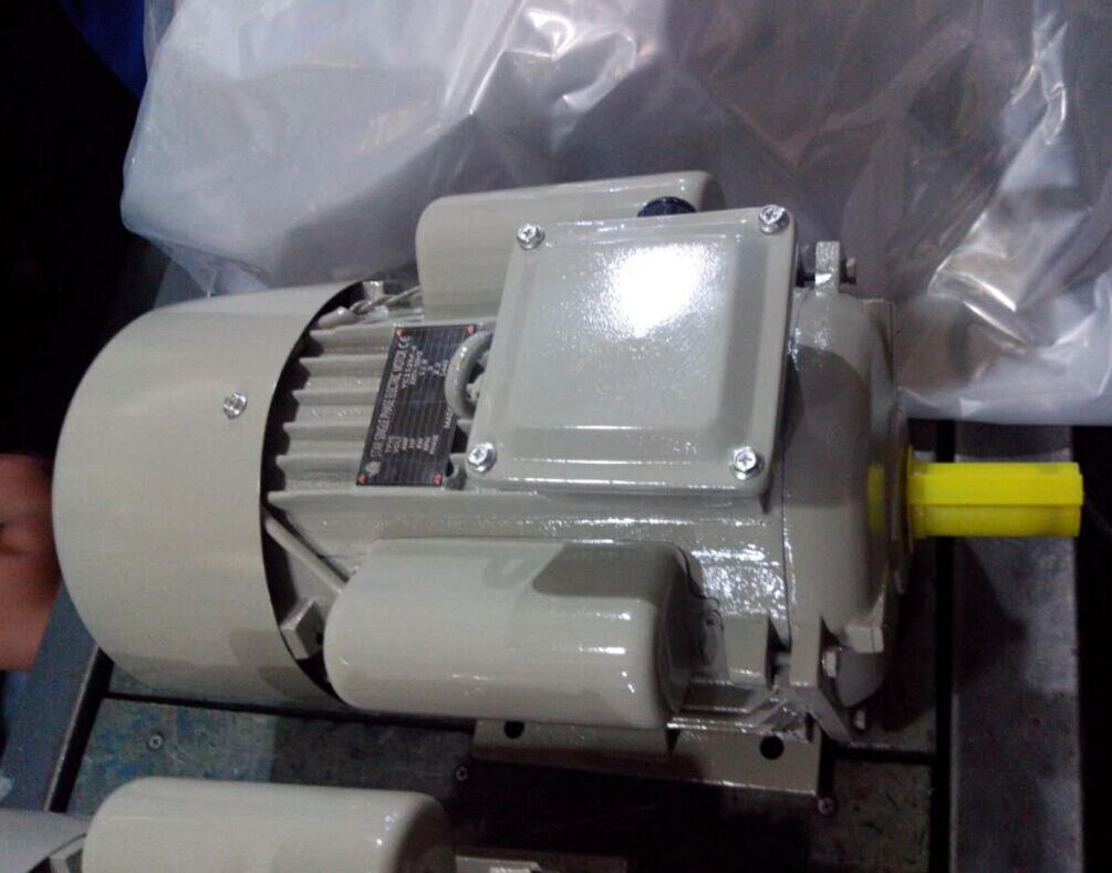 YC Single-Phase Dual-Capacitor Induction Motor