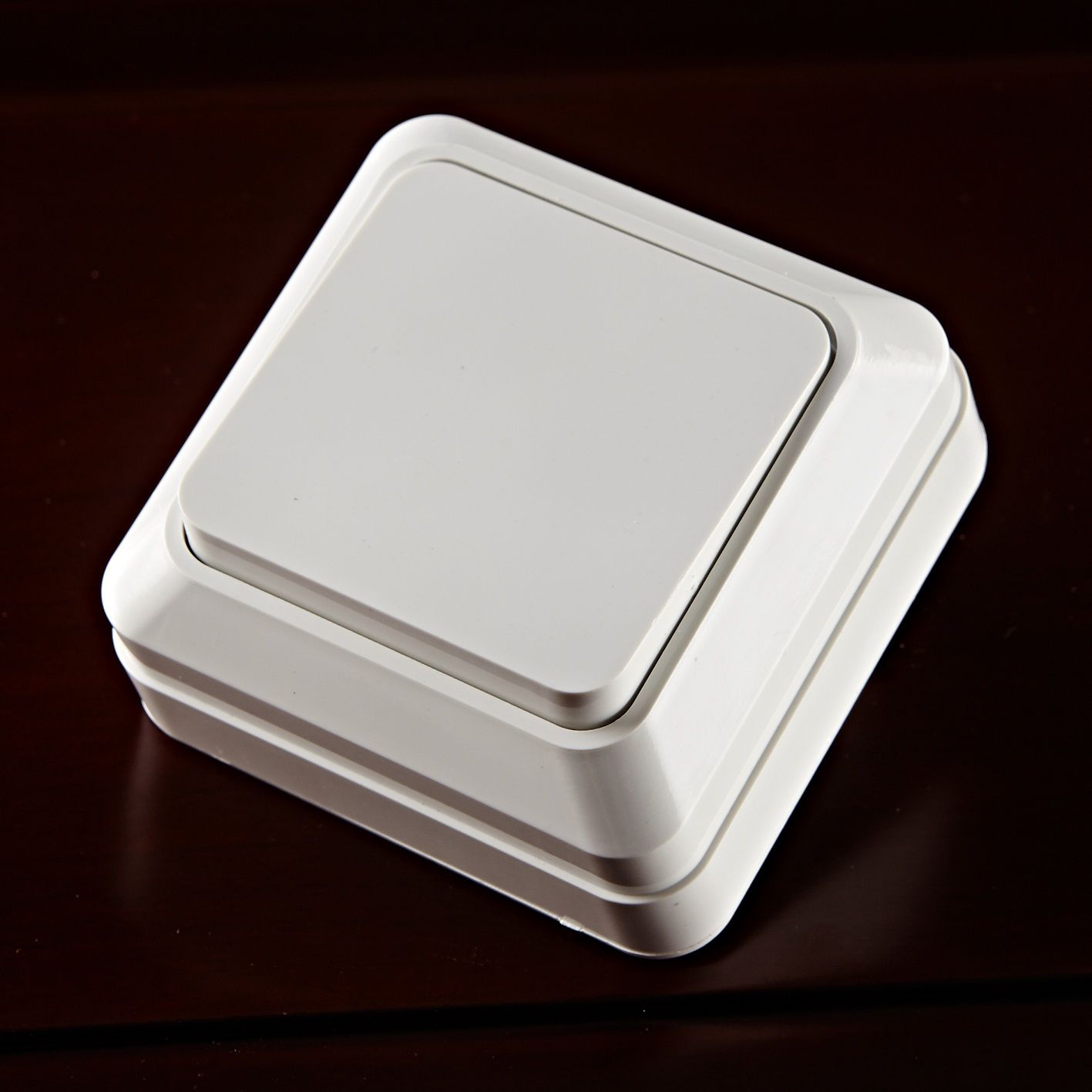 Surface Mounted One Way Wall Switch IP20