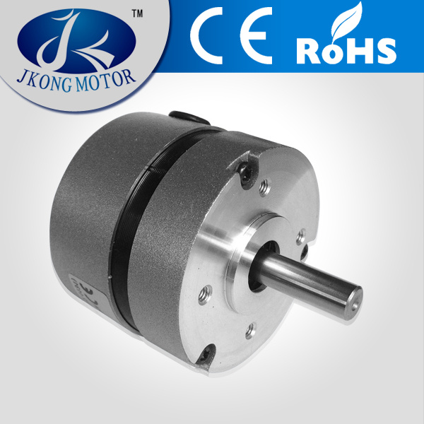 57mm Brushless DC Motor 57bls005 36V Micro Motor