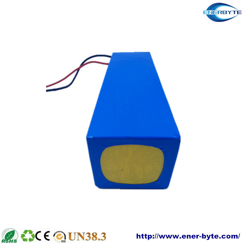 Lithium Battery Pack 60V 20ah for E-Motor/ E- Scooter