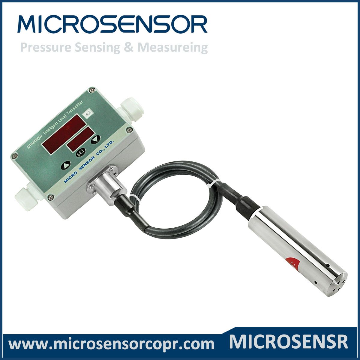 High Accuracy IP65 Intelligent Level Transmitting Controller with RS485 Mpm460W