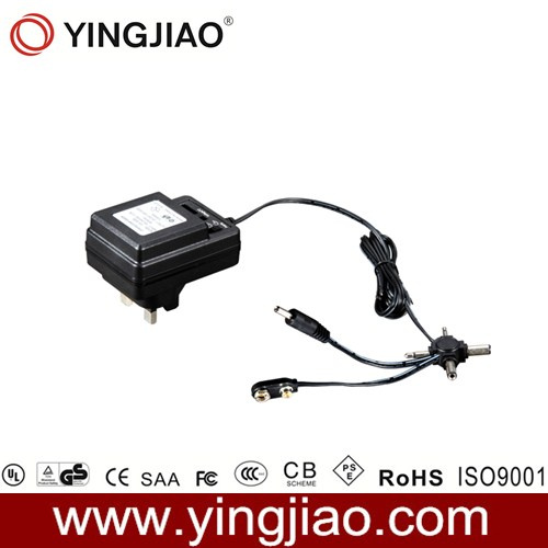 6W Variable Power Adaptor Wtih CE