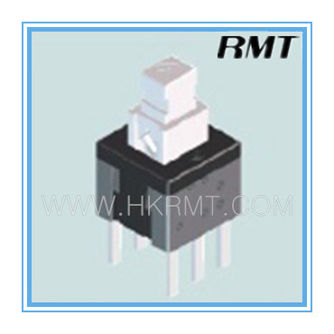 Push Button Switch (P1058D10011)
