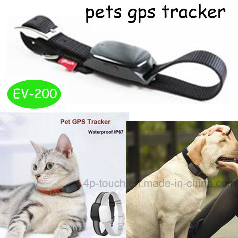 Mini Waterproof Pets GPS Tracker with Real Time Tracking (EV200)