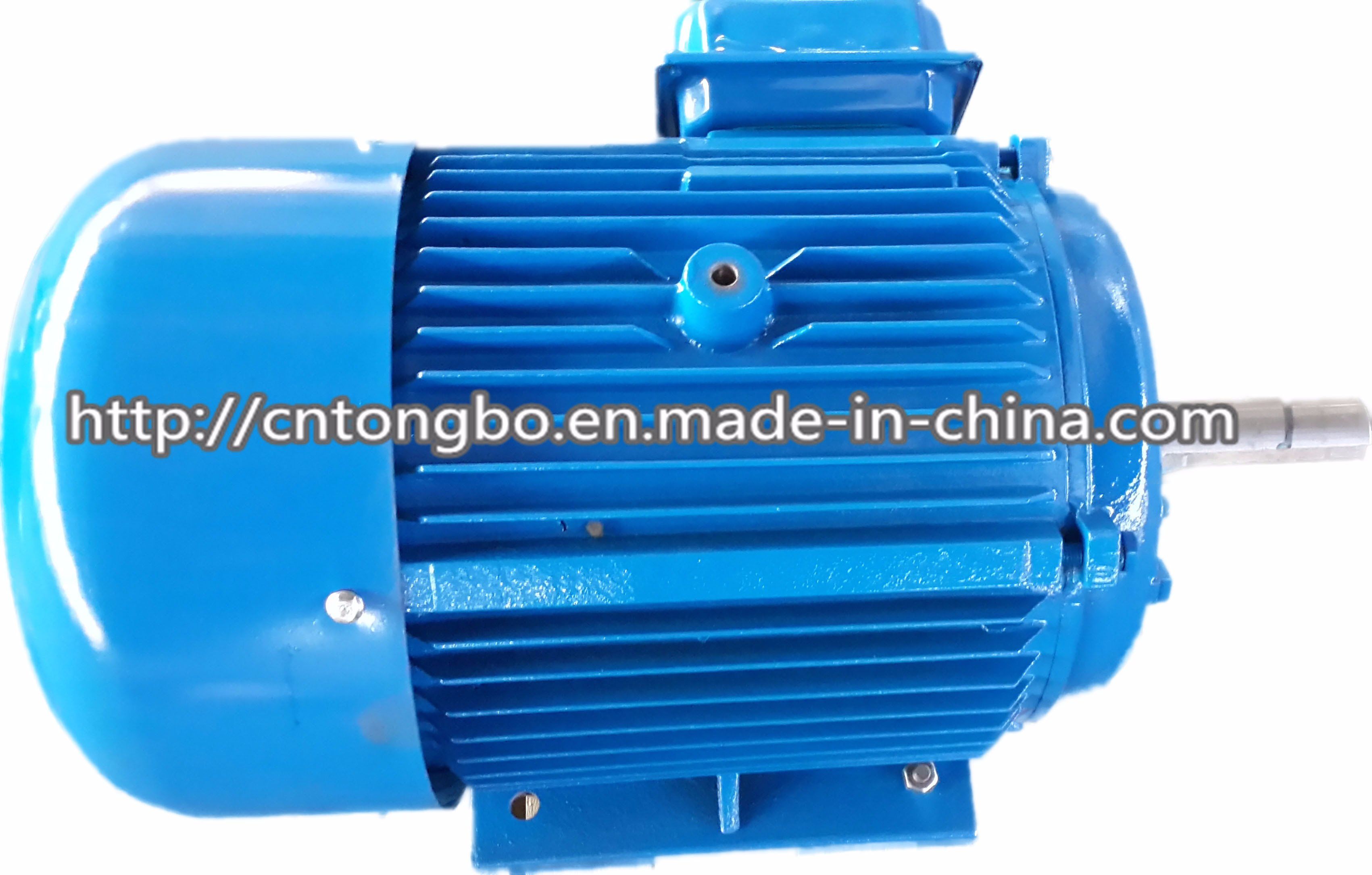50Hz Y Series Three Phase Induction Motor
