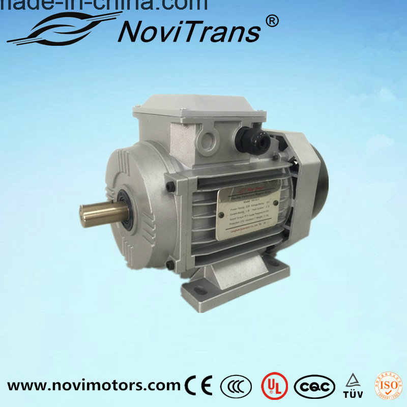AC High-Efficiency Mode Permanent-Magnet Motor 550W with UL/Ce Certification