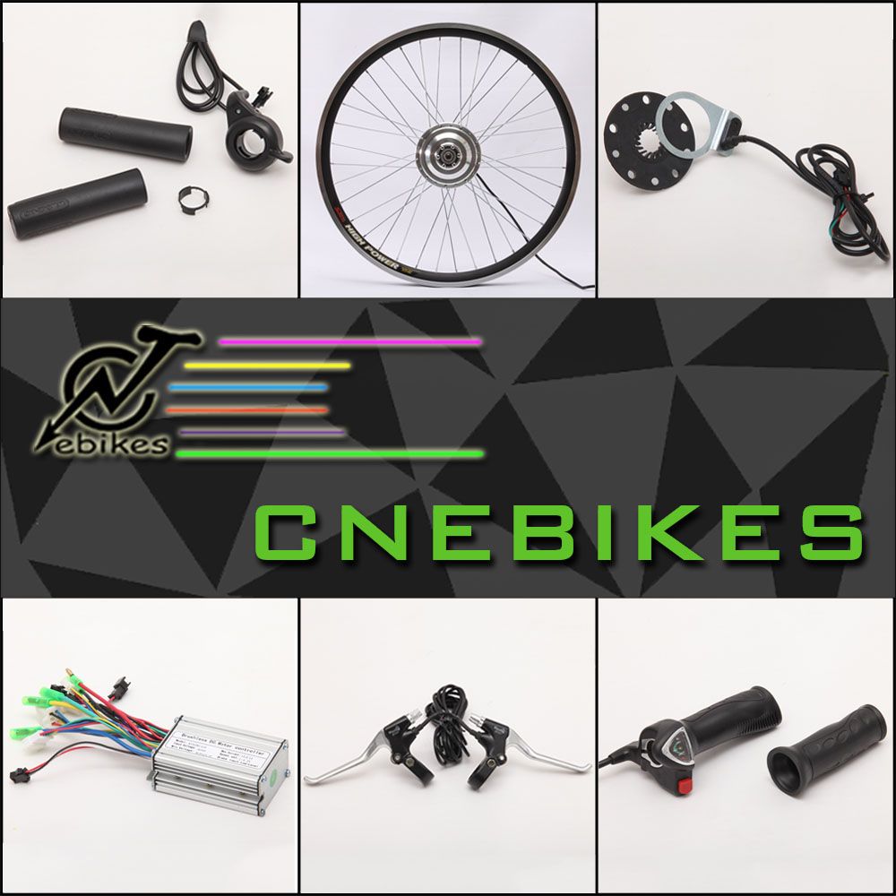 Electric Wheel Hub Motor for Bicycle