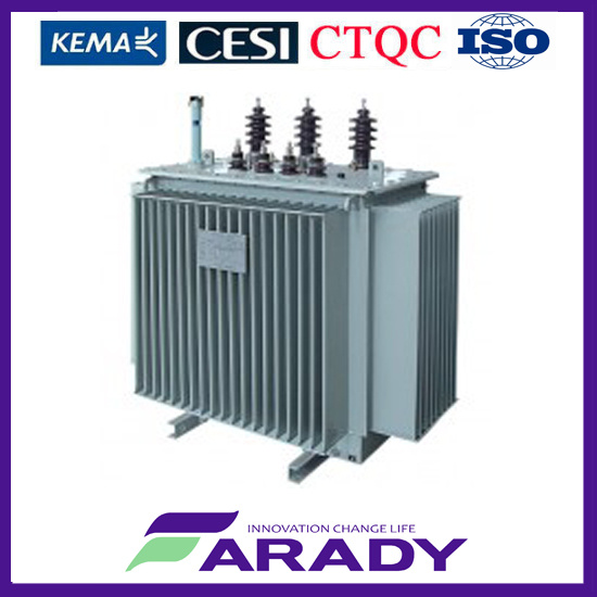 Oil Immersed Silicon Iron Core 167kVA 3 Phase Power Transformer