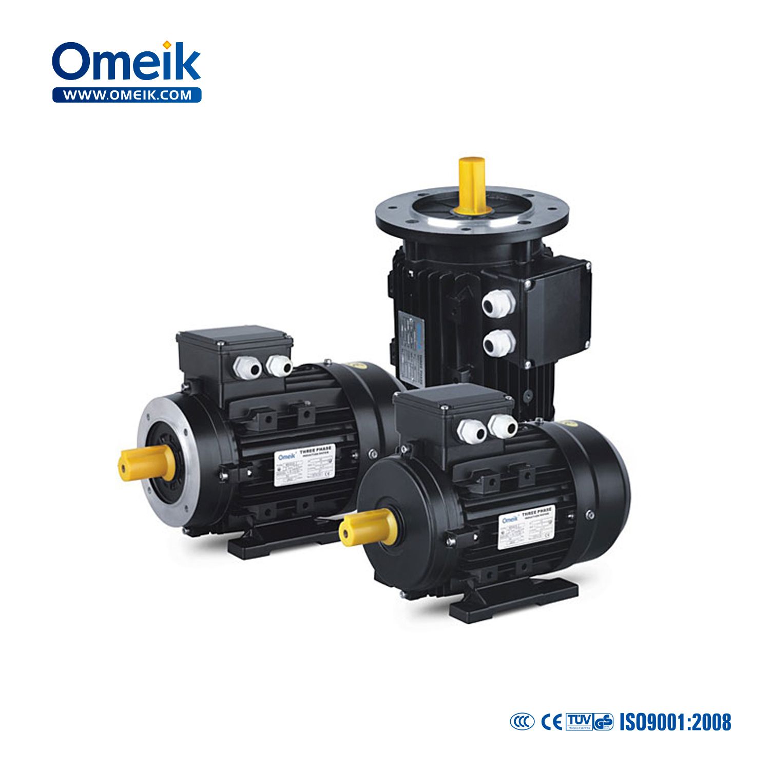 Ms 380V/660V B3 B5 Three Phase Asynchronous Motor