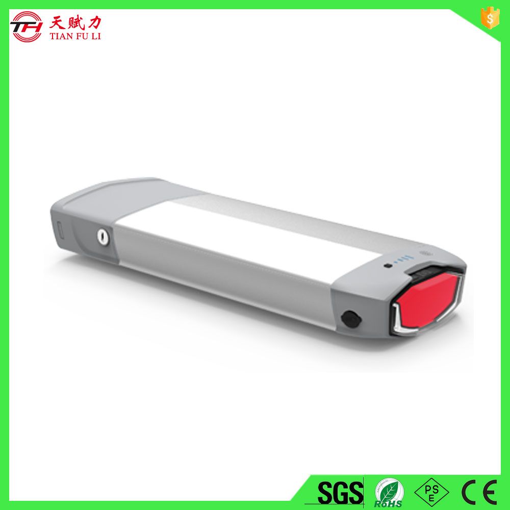 Good Price 48V Lithium Ion Electric Bicycle Battery Pack