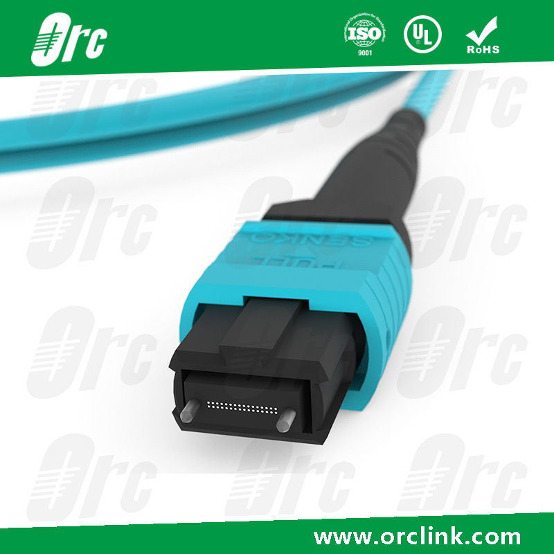 8f/12f/24f MPO/MTP Patchcord Jumper Optical Fiber Connector Om3 Ofnp 10 Meters