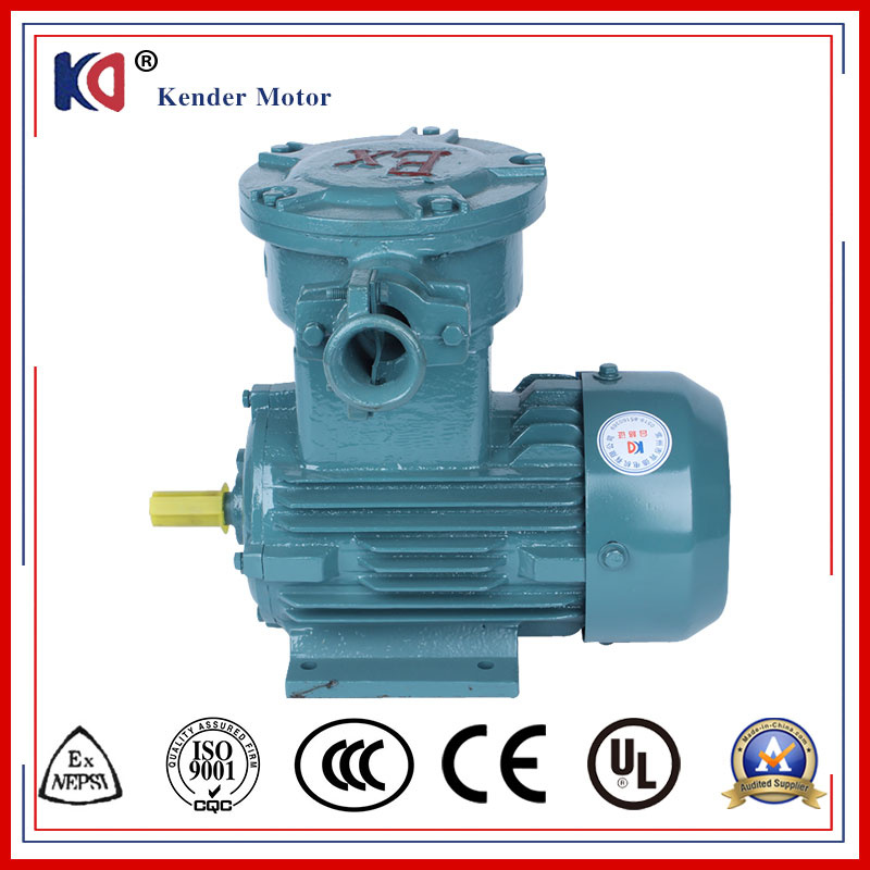 Asynchronous Electric Three Phase Flame Movement Motor