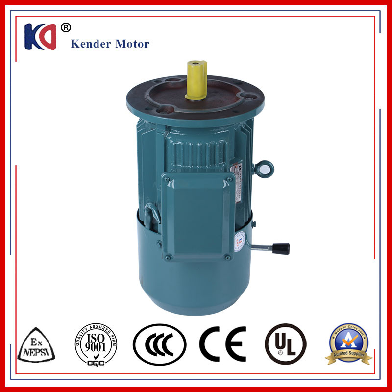 Induction Electromagnetic AC Brake Motor with High Voltage (380V 50Hz)