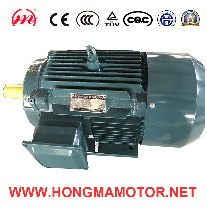 GOST Standard Three -Phase Asynchronous Motor (0.55KW) with 8pole
