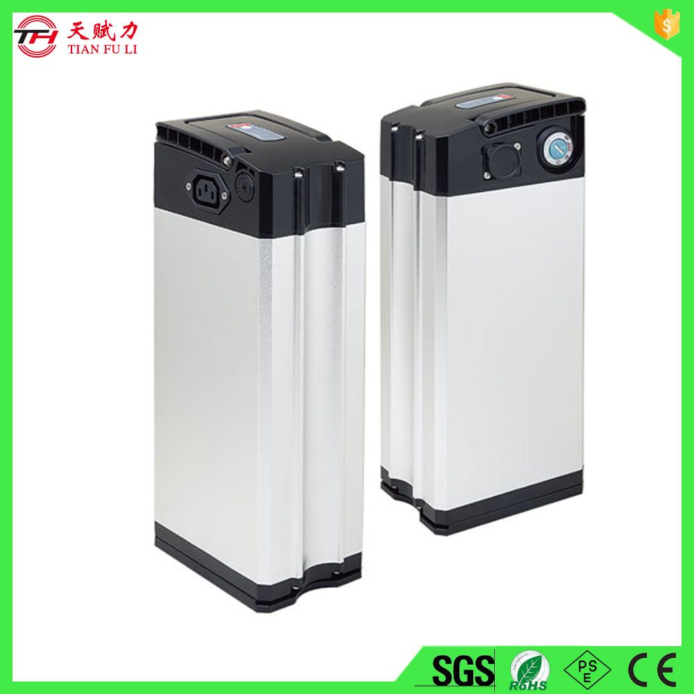 Rechargeable Lithium Ion Battery Pack for Ebike