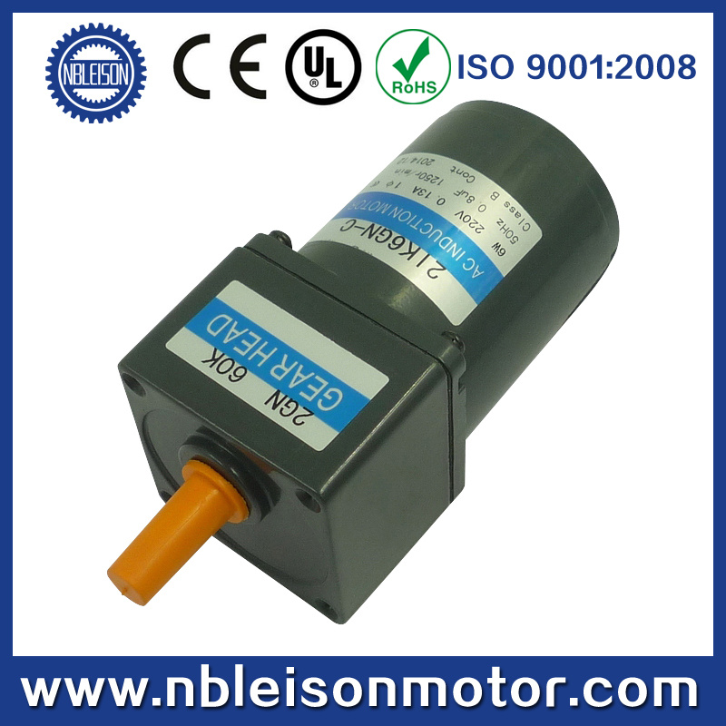 6W Small AC Reversible Gear Motor