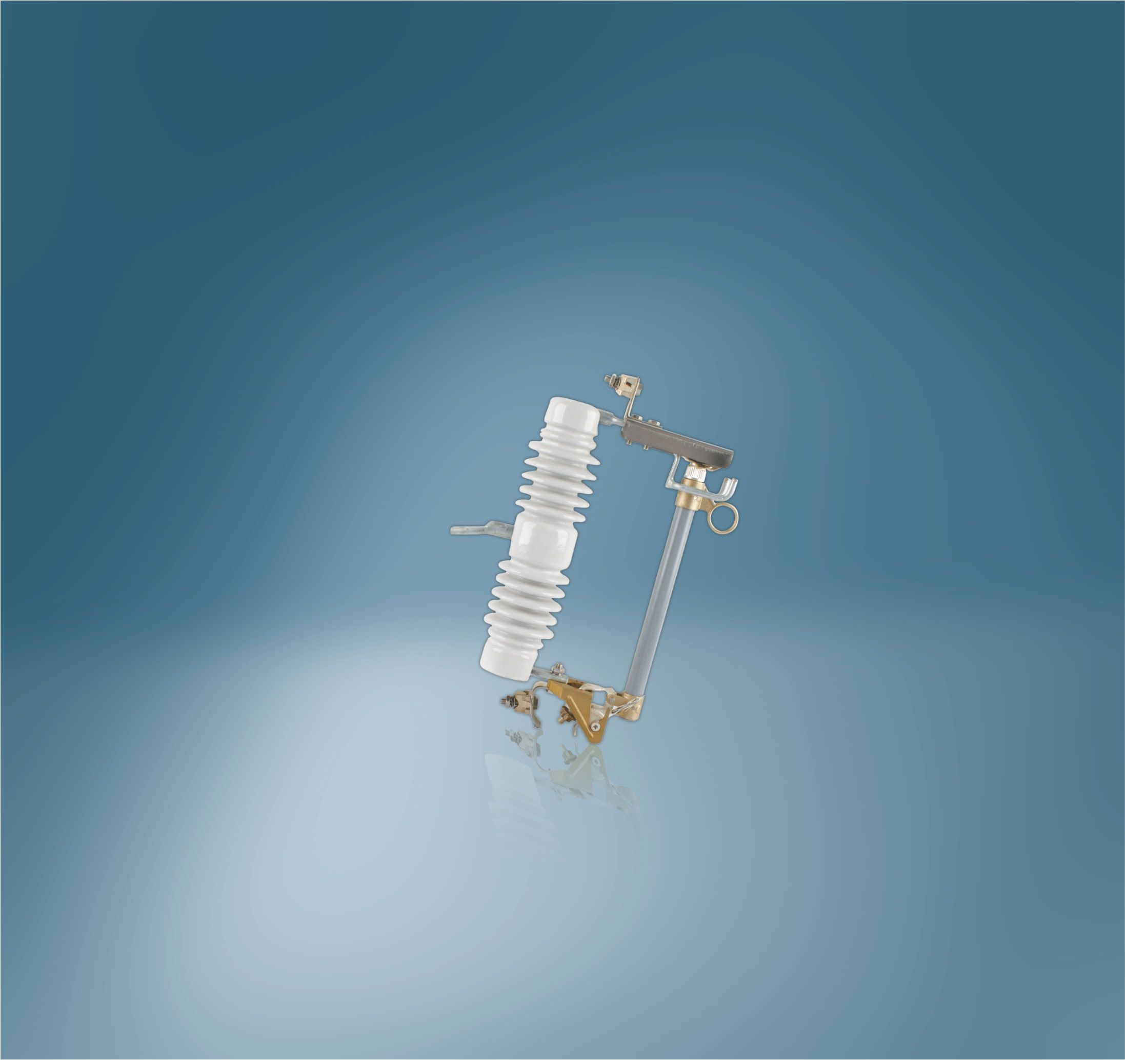 Drop out Fuse (PRW1-24)