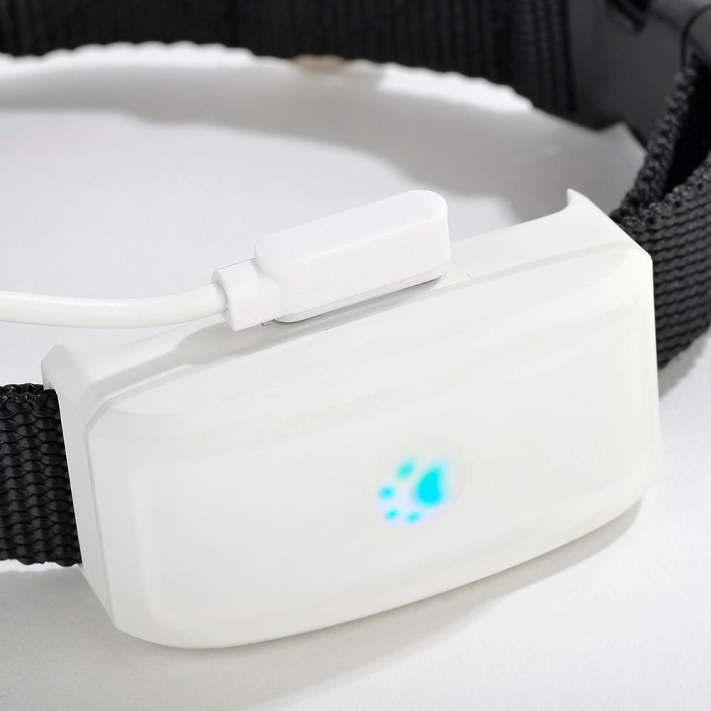 GPS Tracker Tkstar Tk911 for Dogs Cats WiFi Locatoin Real Time Tracking