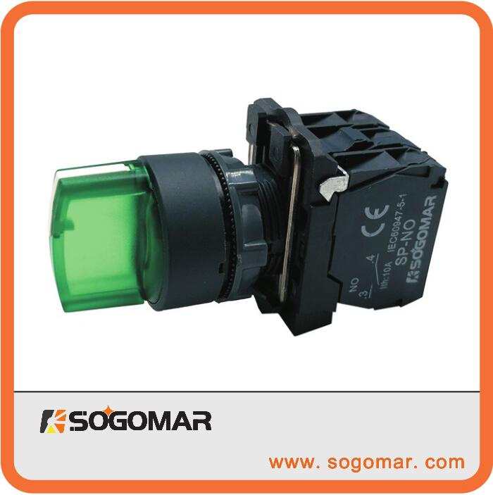 Momentary Push Button 12V/24V/110V/220V LED Illuminated Switch