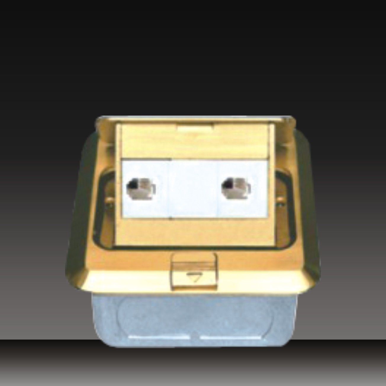 2 Gang Telephone Socket (HDC-4-6)