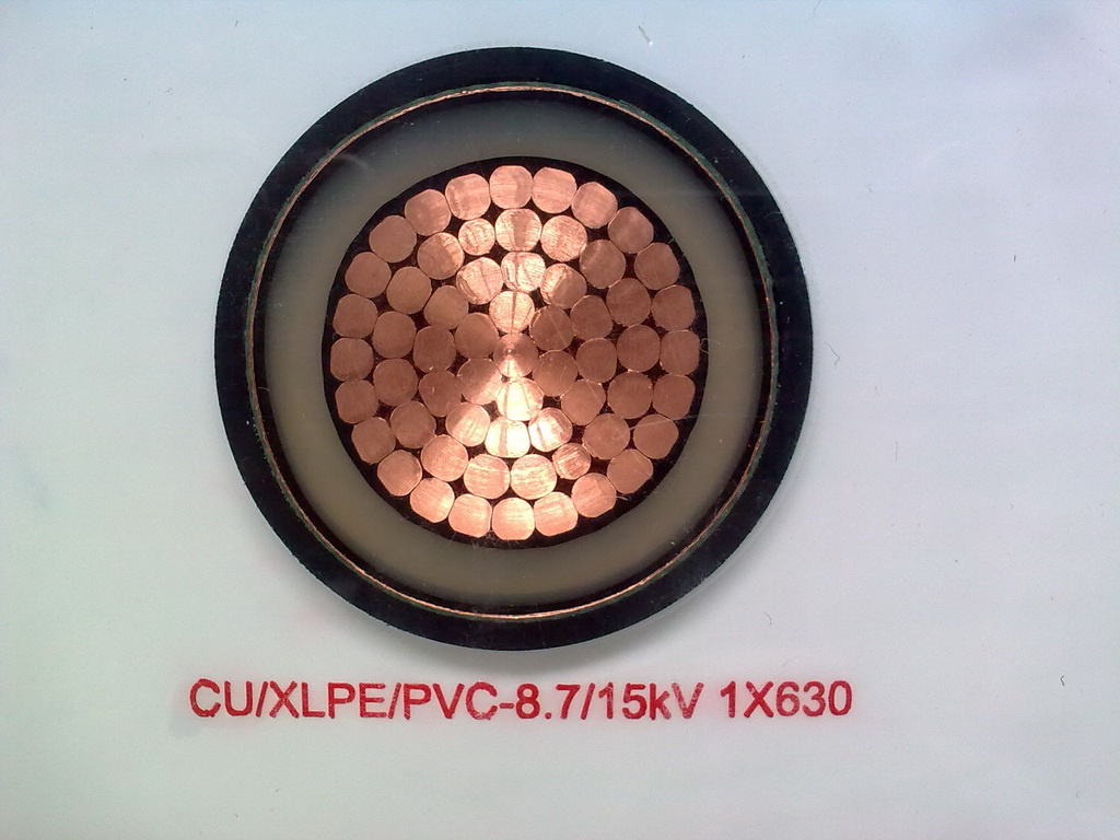 Medium Voltage XLPE Insulated Power Cable(8.7/15kv Cu/XLPE/PVC