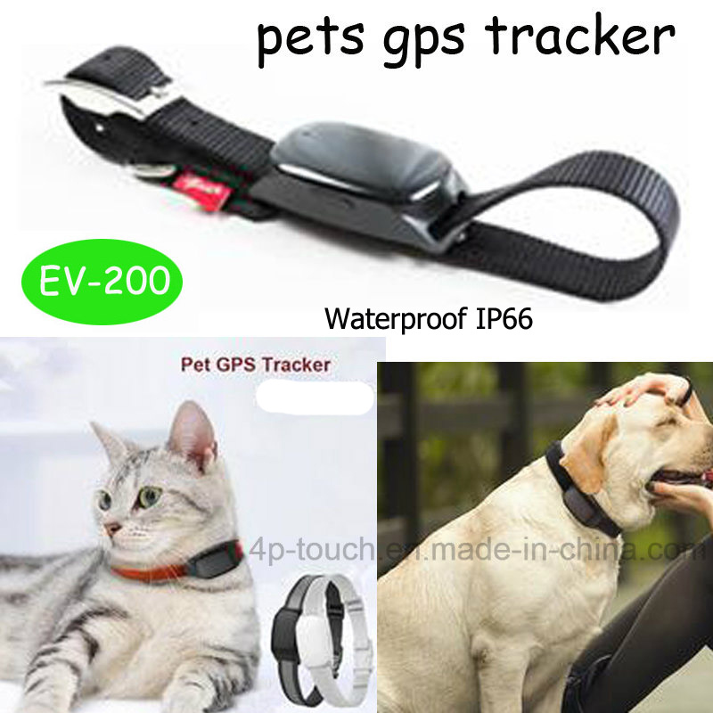 Real Time Map Location Pet GPS Tracker (EV-200)