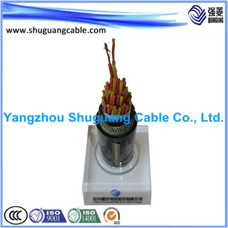 PVC Insulated/PVC Sheathed/Stranded/Computer/Instrument Cable