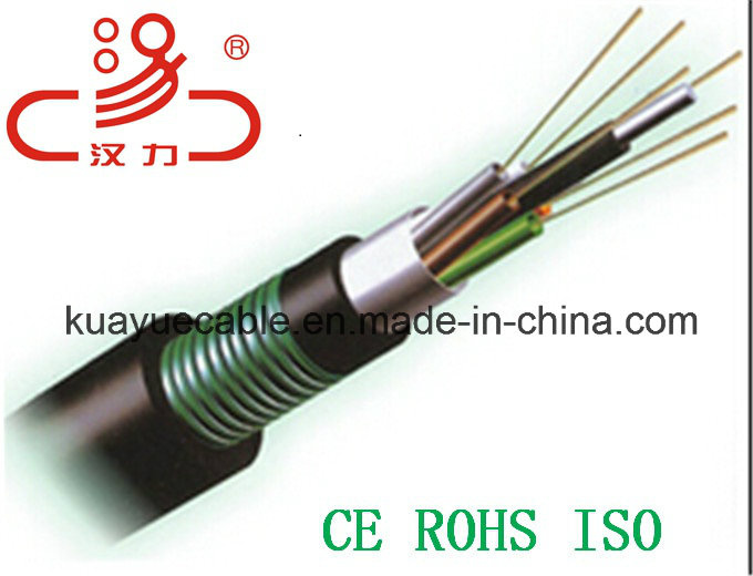 GYTA Optical Fiber Cable/Computer Cable/ Data Cable/ Communication Cable/ Audio Cable