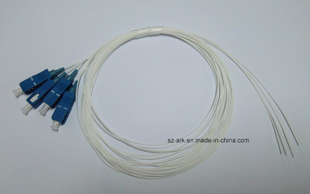 Fiber Optical with Sc Singlemode Cable (2.7M)