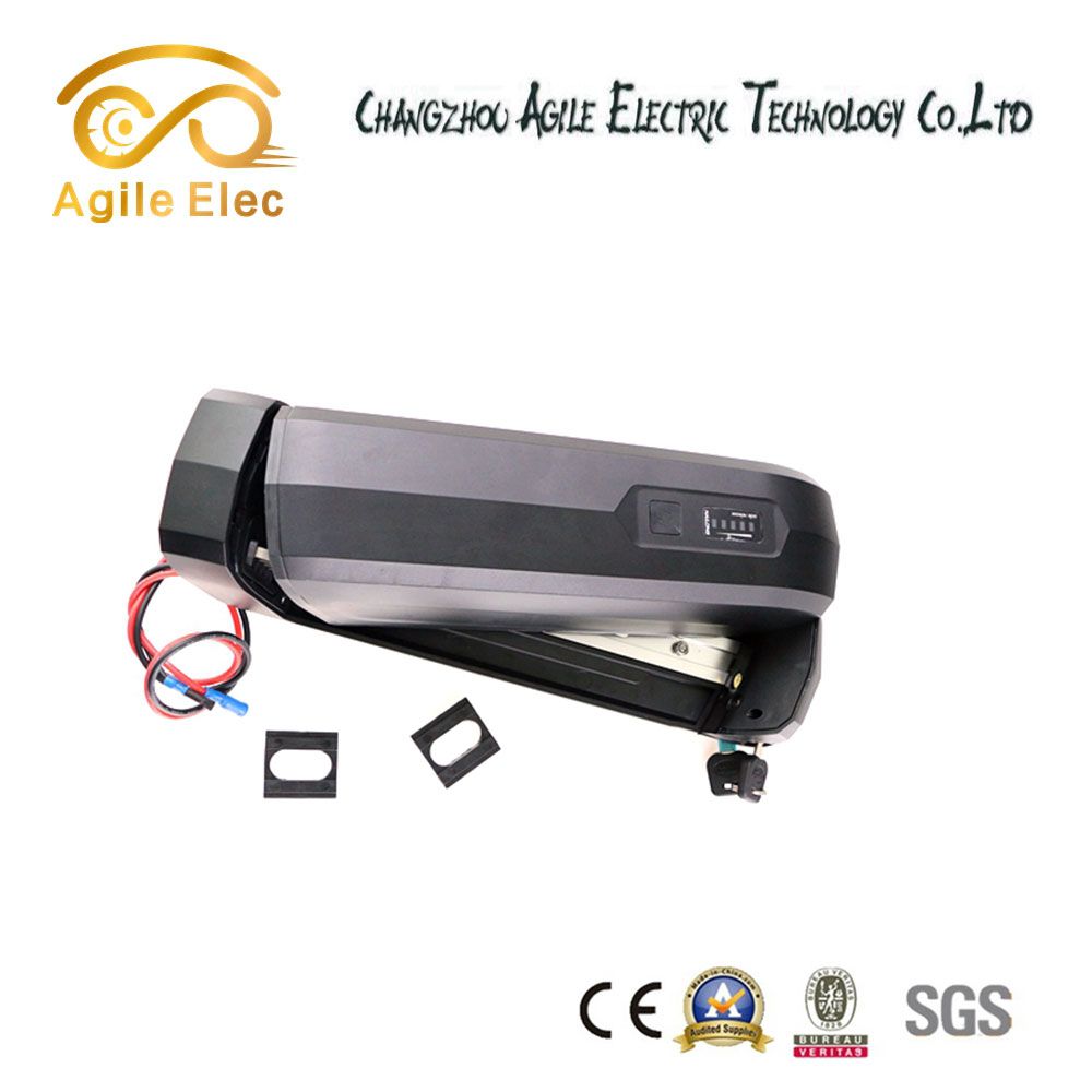 36V 11.6ah Electric Bike Lithium Battery with Panasonic Battery Cell