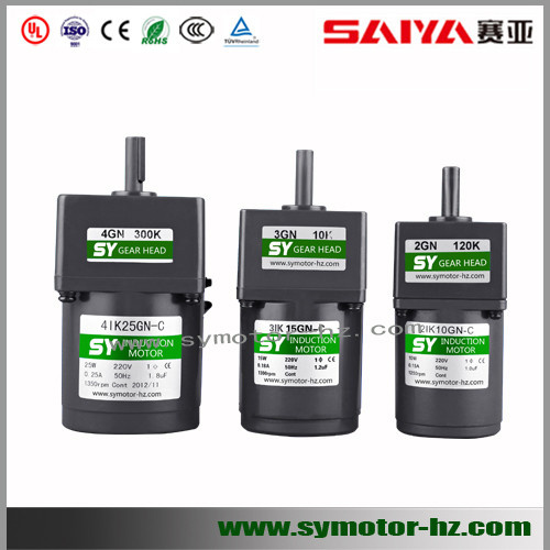 60mm 6W AC Micro Induction Motor