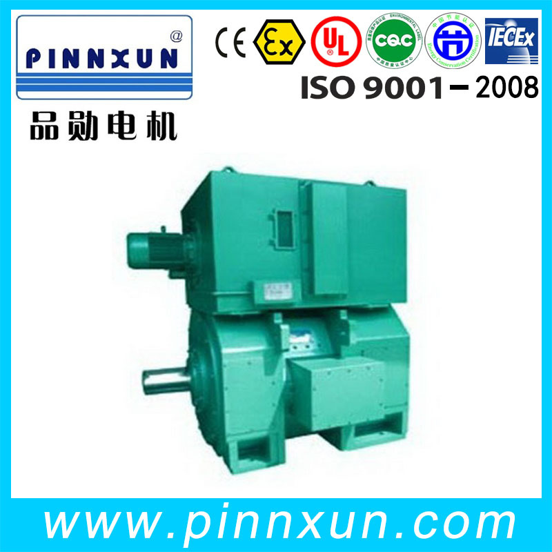 Large Size Zsn DC Motor