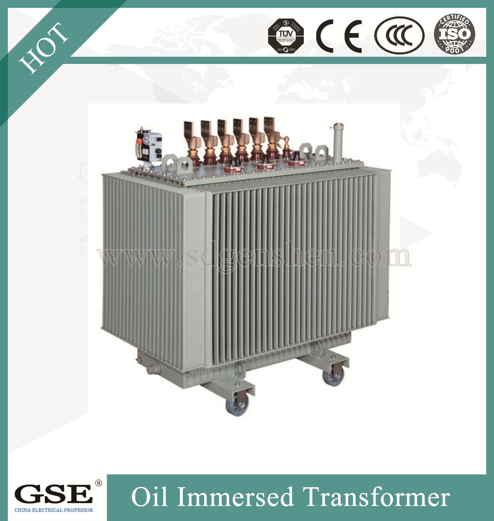 100kVA Oil Type Hermetically Sealed Power Transformer Made in Gse Brand