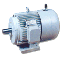 YEJ Three Phase Brake Induction Motors