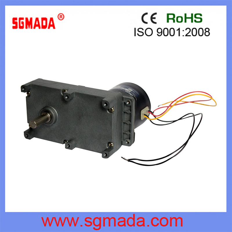 AC Electric Mini Engine Motor with Ce UL