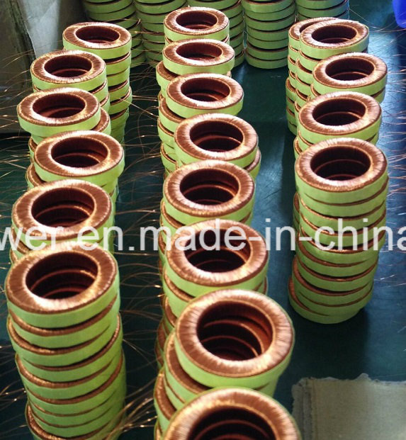 RoHS/SGS Toroidal Current Transformer