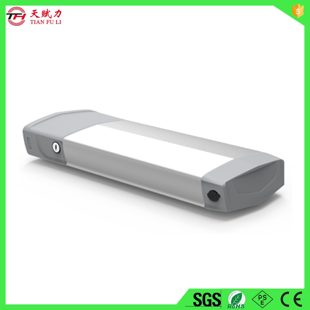 Hot Sell 48V Lithium Ion Rechargeable Ebike Battery Pack