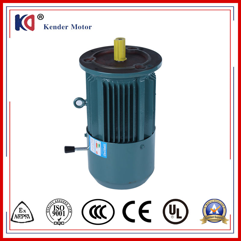Yej-90L-4 Electromagnetic Yej Series Squirrel Cage Induction Motor