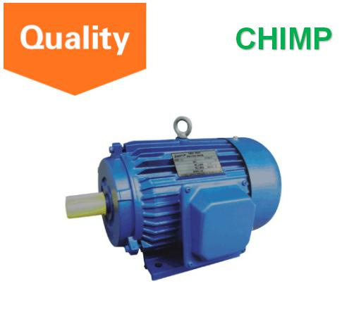 2 Poles Three Phase Asynchronous Electric Motor