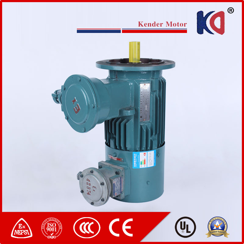 Frequency Conversion Induction Motor with Speed Regulating