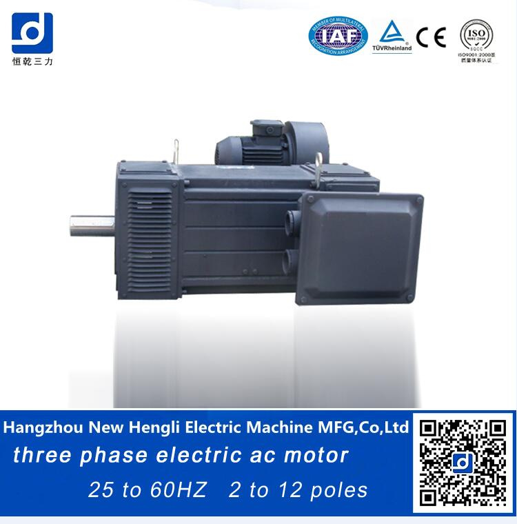 Speed Frequency Variable AC High Torque 275kw Electric Motor